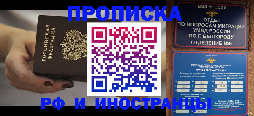 прописка штамп в Волхове